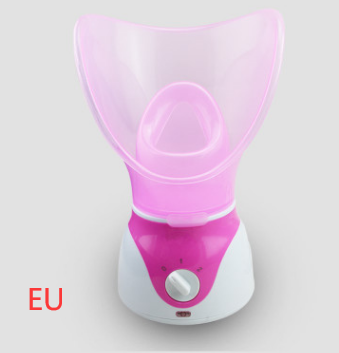 Hot-selling ion hot spray steamer Home steam beauty instrument